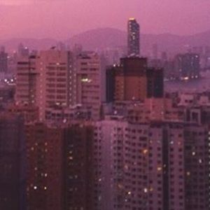 Meet your Posher, Bailey